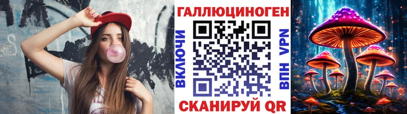 ОМГ ОМГ ТОР  магазин    Губкин  Псилоцибиновые грибы Psilocybine cubensis 